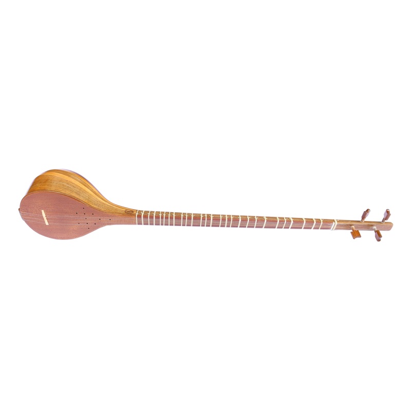 Professional Setar By Fofel FS-304